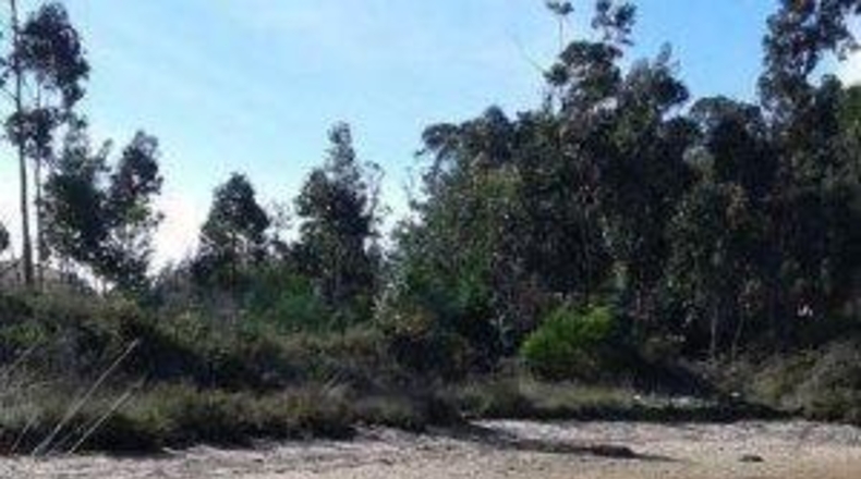 Pontevedra - Sanxenxo - 27180m2