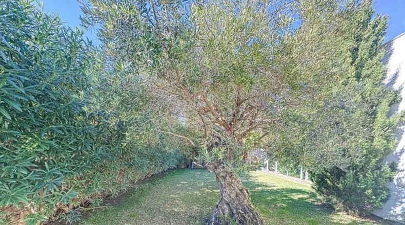 Alicante - Benitachell - 853m2