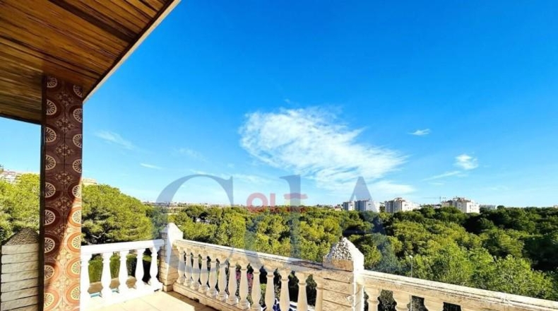 Alicante - Orihuela - 1050m2