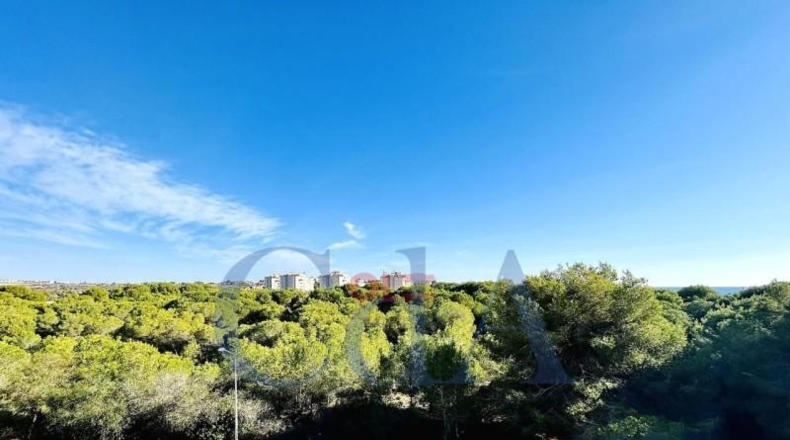 Alicante - Orihuela - 1050m2