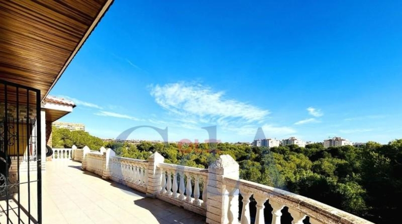 Alicante - Orihuela - 1050m2