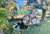 Chalet independiente con terreno en venta en la España, Inca, ref: TR198884 foto