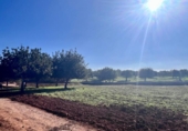 Chalet independiente con terreno en venta en la España, Inca, ref: TR198884 foto