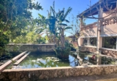 Chalet independiente con terreno en venta en la España, Inca, ref: TR198884 foto