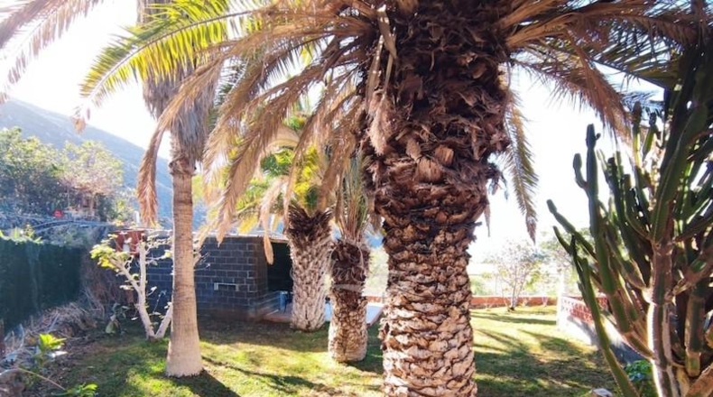 Santa Cruz de Tenerife - Santiago del Teide - 217m2