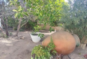 Foto 6