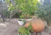 Chalet independiente con terreno en venta en la España, San Vicente del Raspeig, ref: TR286199 foto