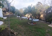 Chalet independiente con terreno en venta en la España, San Vicente del Raspeig, ref: TR286199 foto