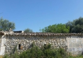 Detached villa with land for sale on España, Campanet, ref: TR135067 photo