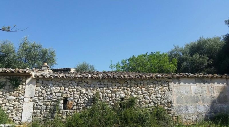 Islas Baleares - Campanet - 45000m2