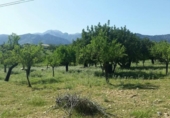 Detached villa with land for sale on España, Campanet, ref: TR135067 photo