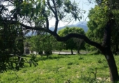 Detached villa with land for sale on España, Campanet, ref: TR135067 photo