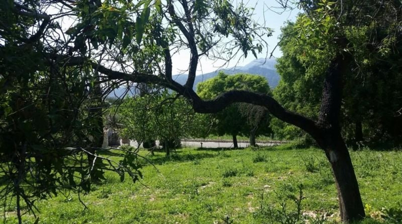 Islas Baleares - Campanet - 45000m2