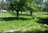 Detached villa with land for sale on España, Campanet, ref: TR135067 photo