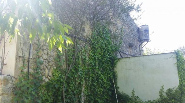 Islas Baleares - Campanet - 45000m2