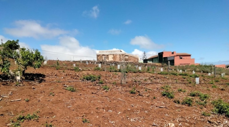 Santa Cruz de Tenerife - San Cristóbal de La Laguna - 12557m2