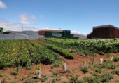 Terreny no urbanitzable en venda a la España, San Cristóbal de La Laguna, ref.: TR118711 foto