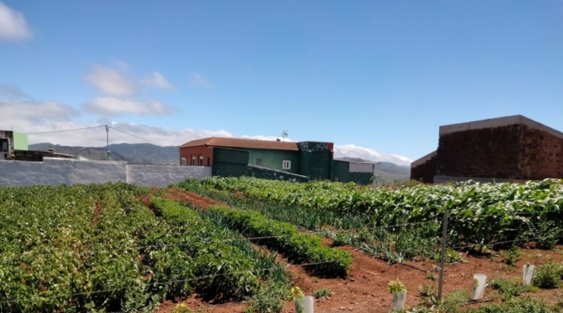 Santa Cruz de Tenerife - San Cristóbal de La Laguna - 12557m2