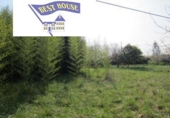 Chalet independiente con terreno en venta en la España, Busturia, ref: TR146991 foto