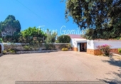 Xalet independent amb terreny en venda a la España, Sant Lluís, ref.: TR313359 foto