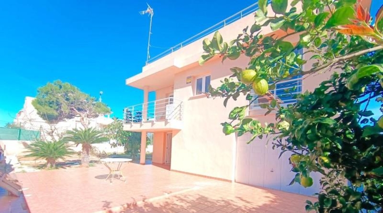 Valencia - Oliva - 563m2