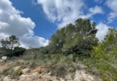 Terreno no urbanizable en venta en la España, Pratdip, ref: TR340947 foto