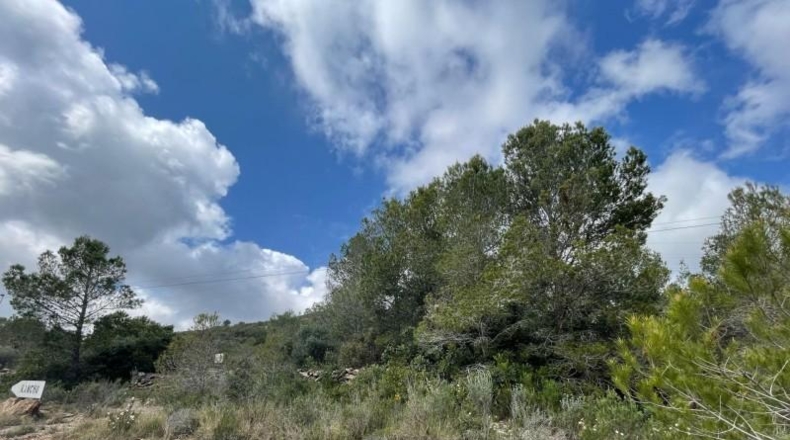 Tarragona - Pratdip - 352918m2