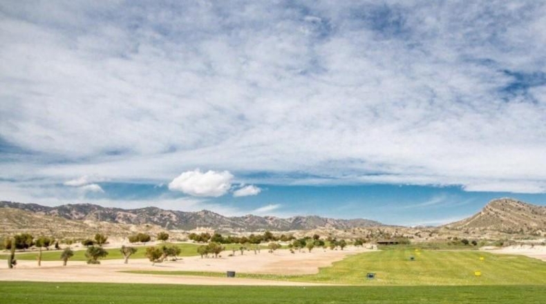 Murcia - Murcia - 1000m2