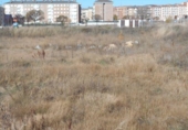 Suelo urbano en venta en la España, Ávila, ref: TR361385 foto