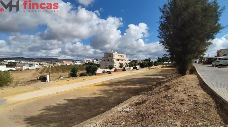 Badajoz - Burguillos del Cerro - 11818m2