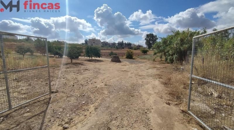 Badajoz - Burguillos del Cerro - 11818m2