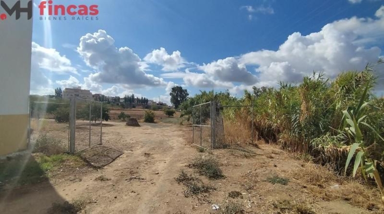 Badajoz - Burguillos del Cerro - 11818m2