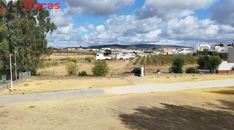 Badajoz - Burguillos del Cerro - 11818m2