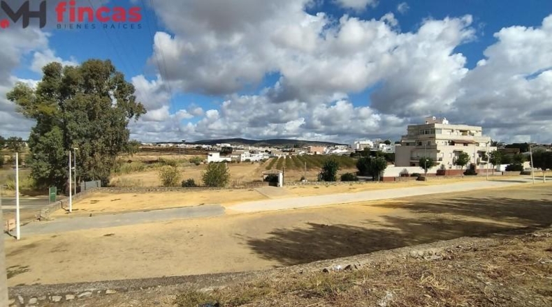 Badajoz - Burguillos del Cerro - 11818m2