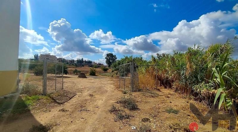 Seville - Burguillos - 11818m2