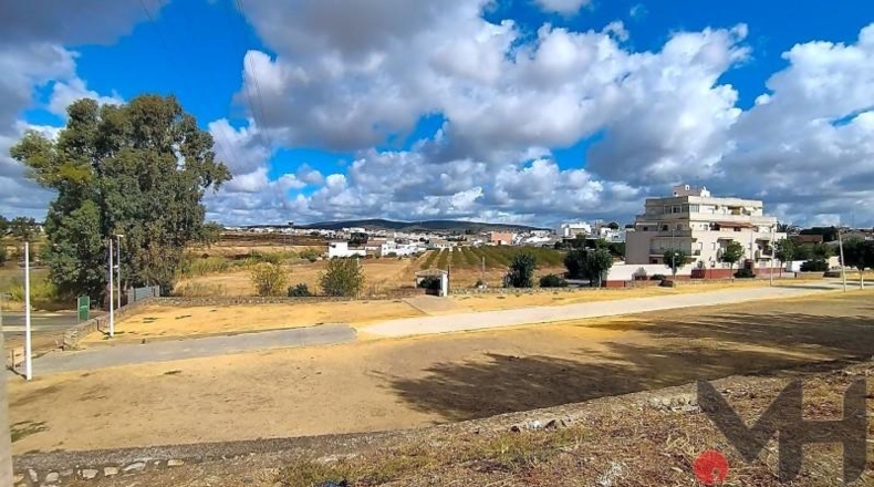 Seville - Burguillos - 11818m2