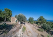 Xalet independent amb terreny en venda a la España, Calvià, ref.: TR142348 foto