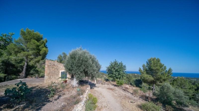 Islas Baleares - Calvià - 900m2