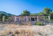 Xalet independent amb terreny en venda a la España, Calvià, ref.: TR142348 foto
