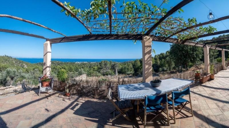 Islas Baleares - Calvià - 900m2