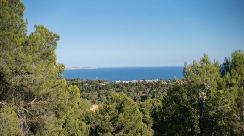 Islas Baleares - Calvià - 900m2