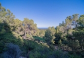 Xalet independent amb terreny en venda a la España, Calvià, ref.: TR142348 foto