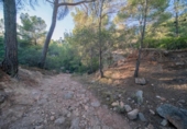 Xalet independent amb terreny en venda a la España, Calvià, ref.: TR142348 foto