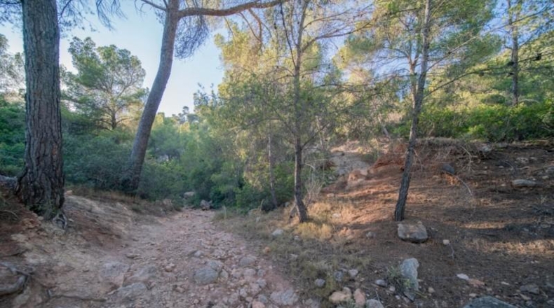 Islas Baleares - Calvià - 900m2