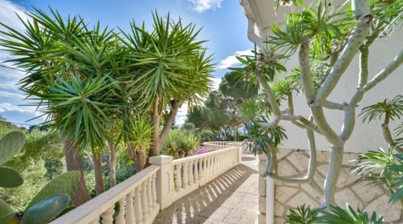 Alicante - Altea - 4500m2