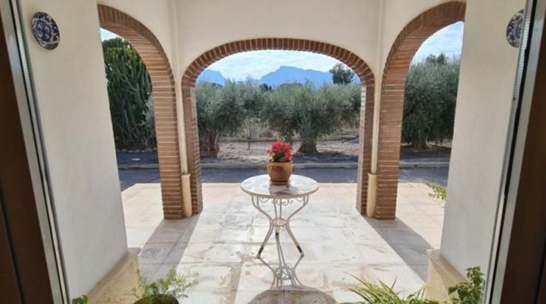 Alicante - Oriola - 10000m2
