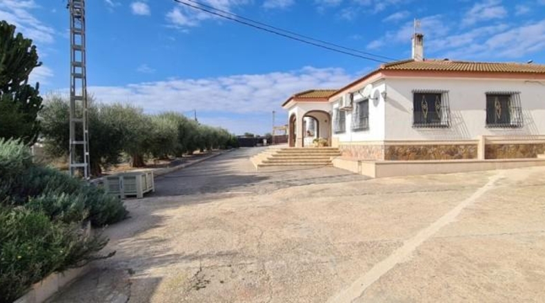 Alicante - Oriola - 10000m2