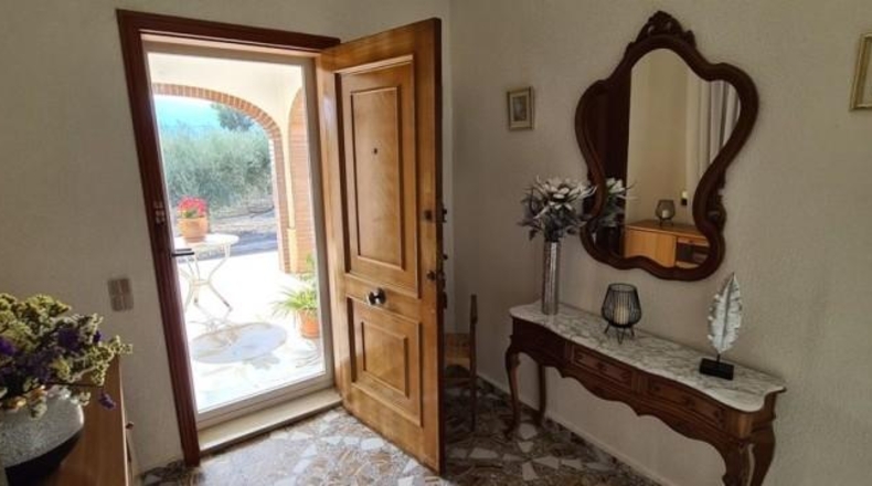 Alicante - Oriola - 10000m2