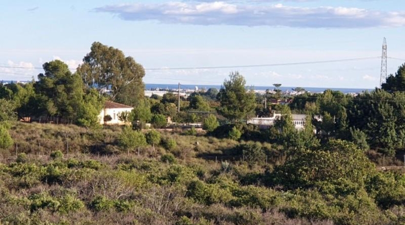 Valencia - Náquera - 7765m2