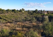 Sòl urbà en venda a la España, Nàquera, ref.: TR341278 foto